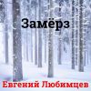 Евгений Любимцев «Замерз» 2021