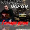 Евгений Ворон «Гитара души» 2013
