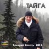 Валерий Копоть «Тайга» 2019