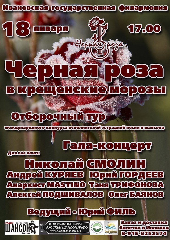 Иваново  «Черная роза в Крещенские морозы» 18 января 2014 года