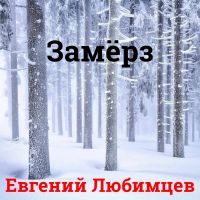 Евгений Любимцев Замерз 2021 (CD)