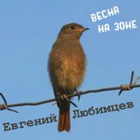 Евгений Любимцев «Весна на зоне» 2022 (CD)