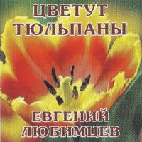 Евгений Любимцев Цветут тюльпаны 2025 (CD) Евгений Любимцев Цветут тюльпаны 2025 (CD)