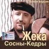 Жека (Евгений Григорьев) «Сосны-кедры (Полная версия)» 2003