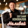 Евгений Коновалов «Наливай» 2026