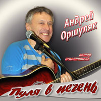 Андрей Оршуляк «Пуля в печень» 2011, 2017 (CD)