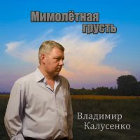 Владимир Калусенко «Мимолётная грусть» 2016 (CD)