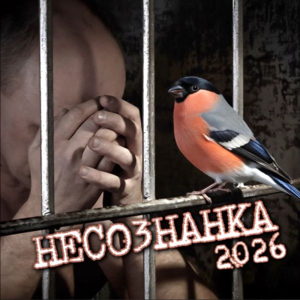 Александр Кузнецов «Несознанка» 2026 Александр Кузнецов «Несознанка» 2026