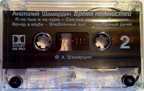 Анатолий Шамардин Время нежностей 1996