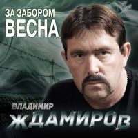 Владимир Ждамиров За забором весна 2014 (CD)