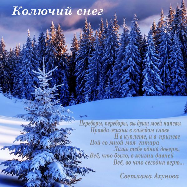 Слава Сибиряк Колючий снег 2019 (CD)