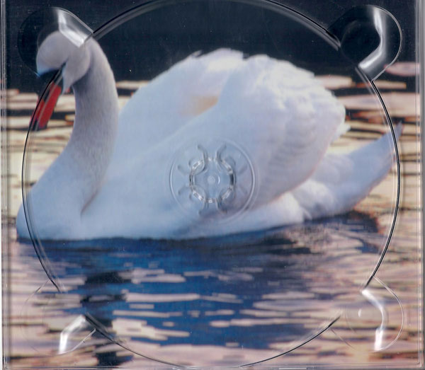 Валерий Соликамский Белый лебедь 2017 (CD)