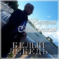 Валерий Соликамский Белый лебедь 2017 (CD)