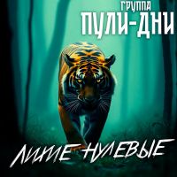 Группа Пули-Дни «Лихие нулевые» 2025 (EP) Группа Пули-Дни «Лихие нулевые» 2025 (EP)