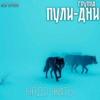 Группа Пули-Дни «Надо жить. New version» 2025 (DA) Группа Пули-Дни «Надо жить. New version» 2025 (DA)