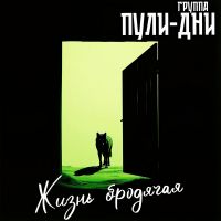 Группа Пули-Дни Жизнь бродячая 2025 (DA) Группа Пули-Дни Жизнь бродячая 2025 (DA)