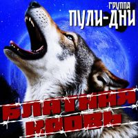 Группа Пули-Дни Блатная кровь 2026 (DA) Группа Пули-Дни Блатная кровь 2026 (DA)
