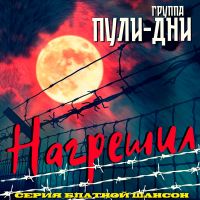 Группа Пули-Дни Нагрешил (Серия Блатной Шансон) 2026 (DA) Группа Пули-Дни Нагрешил (Серия Блатной Шансон) 2026 (DA)