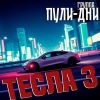 Группа Пули-Дни «Тесла 3» 2025