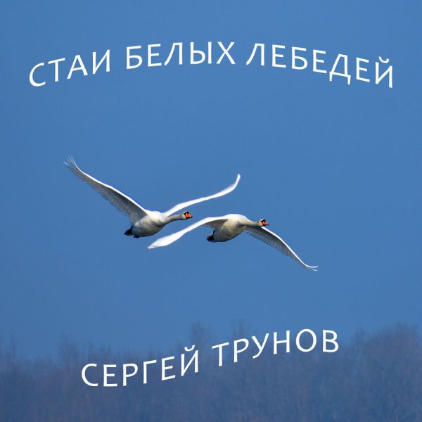     2022