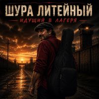 Шура Литейный (ИИ) Идущий в лагеря 2026 (DA) Шура Литейный (ИИ) Идущий в лагеря 2026 (DA)