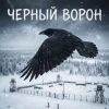 VASYA MUSIC (ИИ) «Черный ворон» 2026