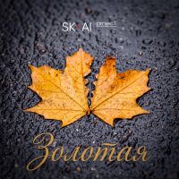 Группа SK-AI projecT (ИИ) Золотая 2026 (DA) Группа SK-AI projecT (ИИ) Золотая 2026 (DA)