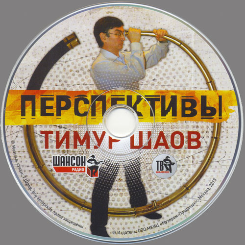 Тимур Шаов Перспективы 2013