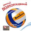 Дмитрий Полторацкий «Волейбол» 2004
