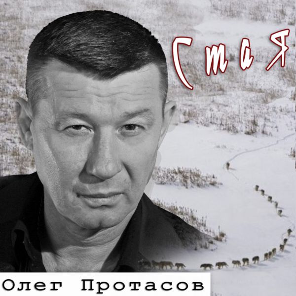Олег Протасов Стая 2018