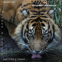 Владимир Михайлов (MASTER) «Выстрел в спину» 2006 (CD)