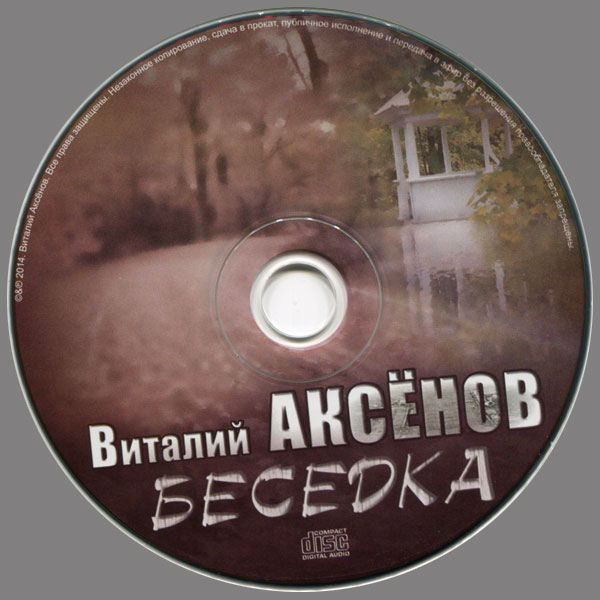 Виталий Аксенов Беседка 2014